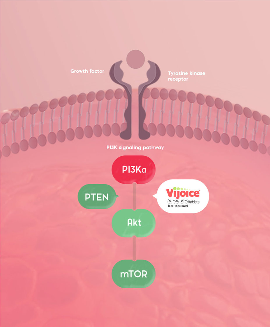 Image of how Vijoice works