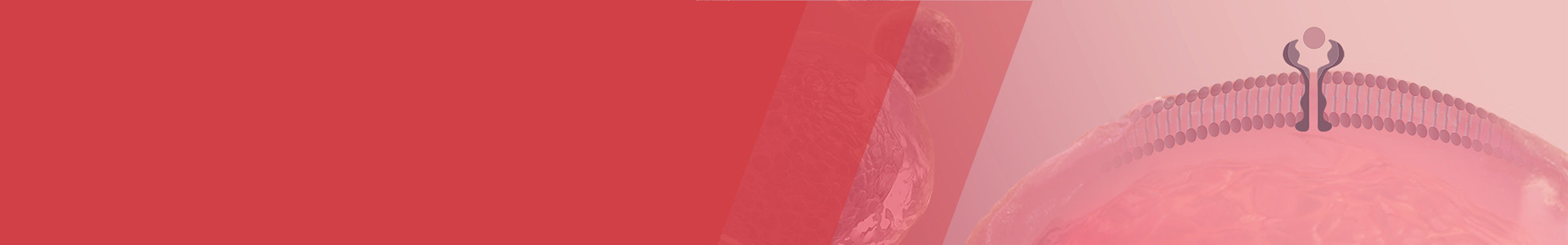 Red section header with a faint illustration of a cellular membrane and receptor embedded in the membrane on the right side